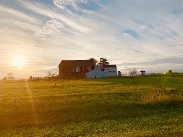 A peaceful farm landscape featuring a red barn, green fields, and grazing livestock at sunset.