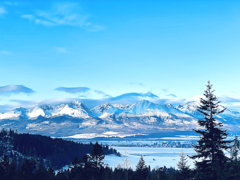 snow covered mountain under blue sky during daytime