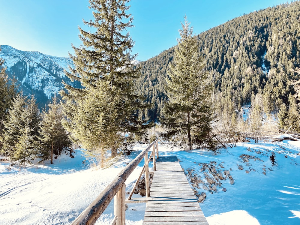 braune Holzbrücke über schneebedeckten Boden in der Nähe von grünen Bäumen tagsüber