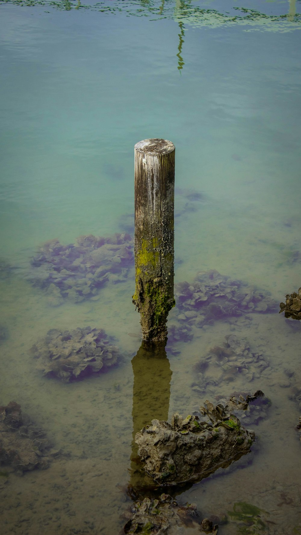 brown wooden post on body of water