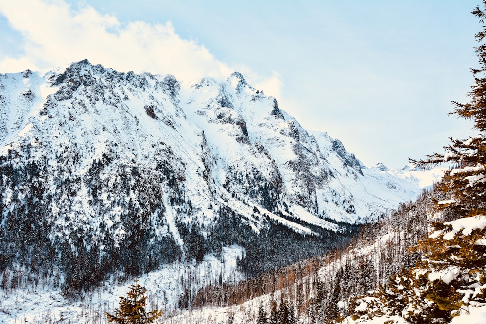 Schneebedeckter Berg tagsüber