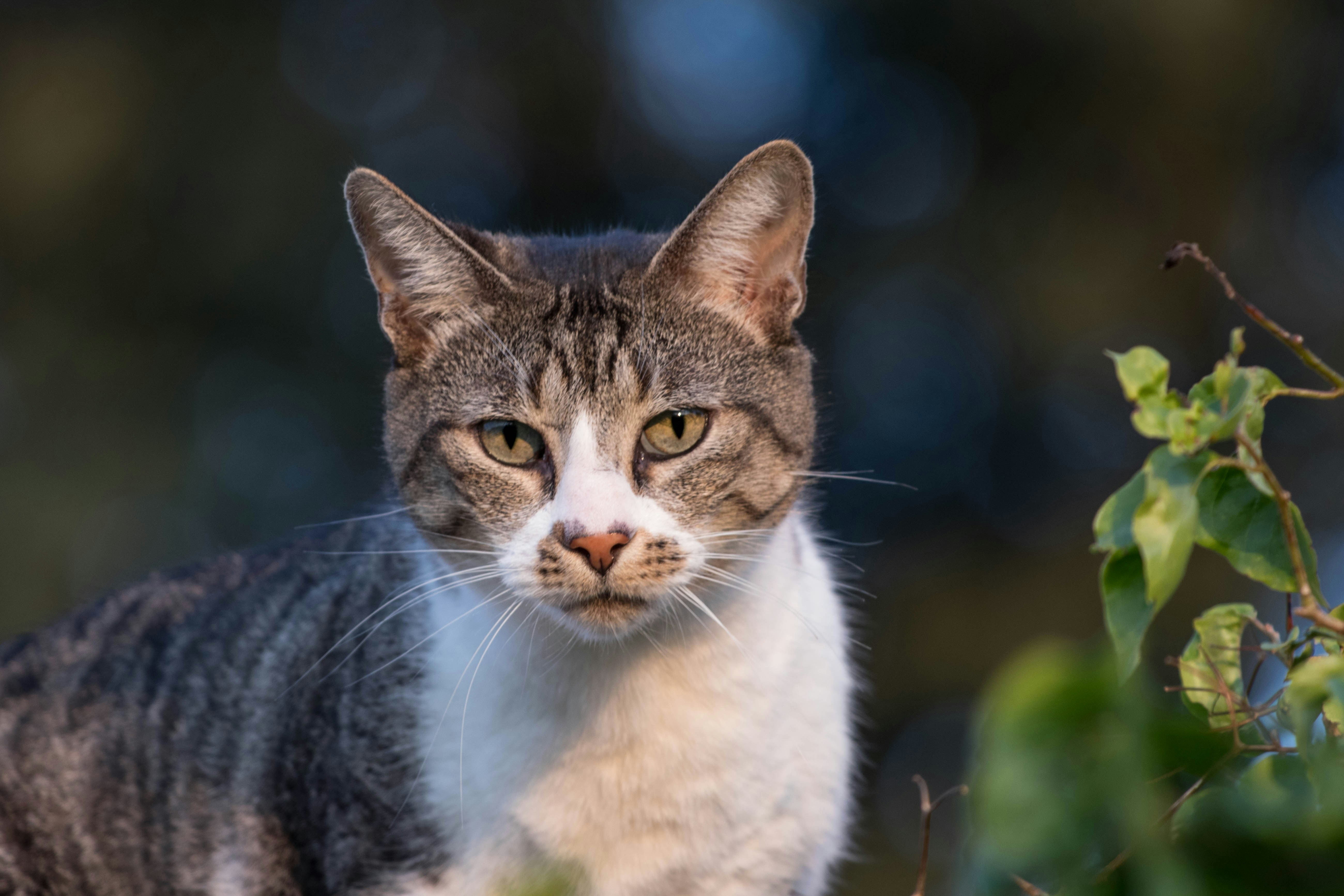 Photo by sonianadales