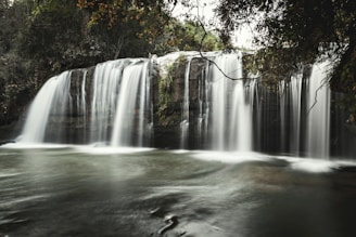 water falls in the middle of the forest