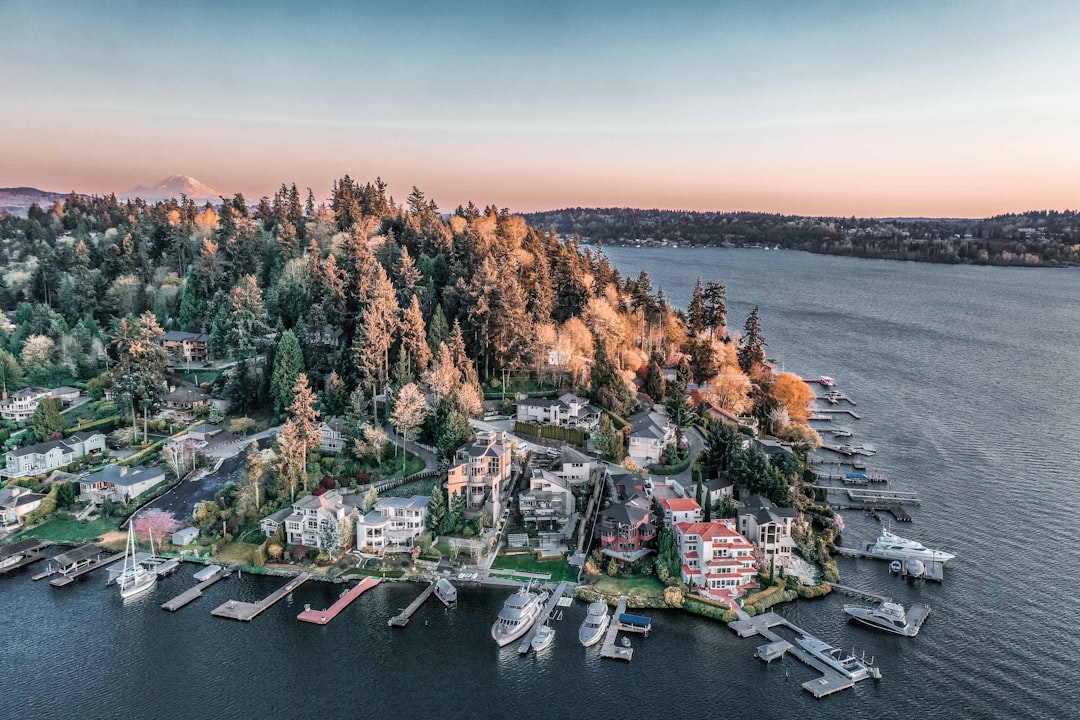 aerial view of city buildings near body of water during daytime