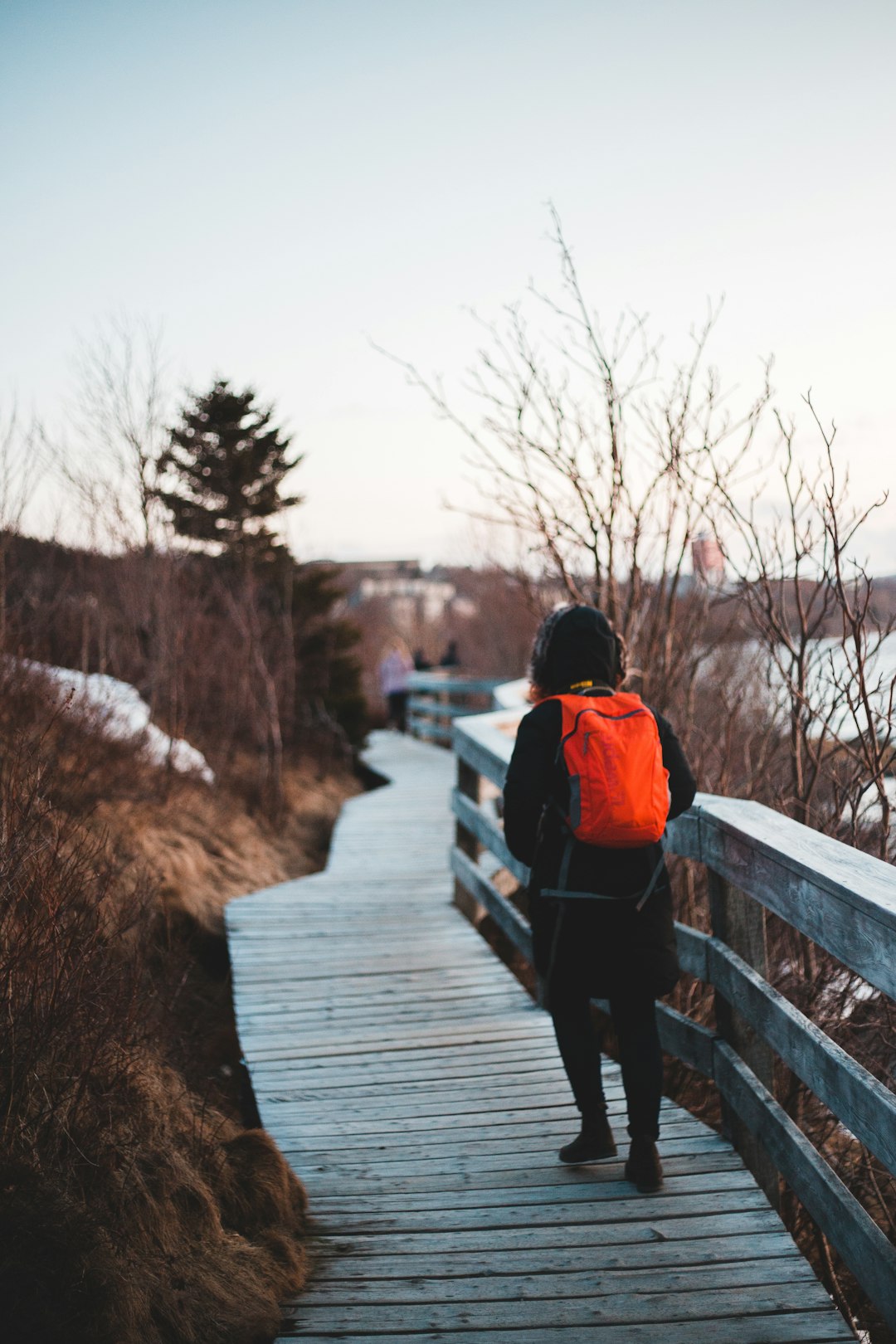 man in red and black jacket walking on wooden bridge during daytime