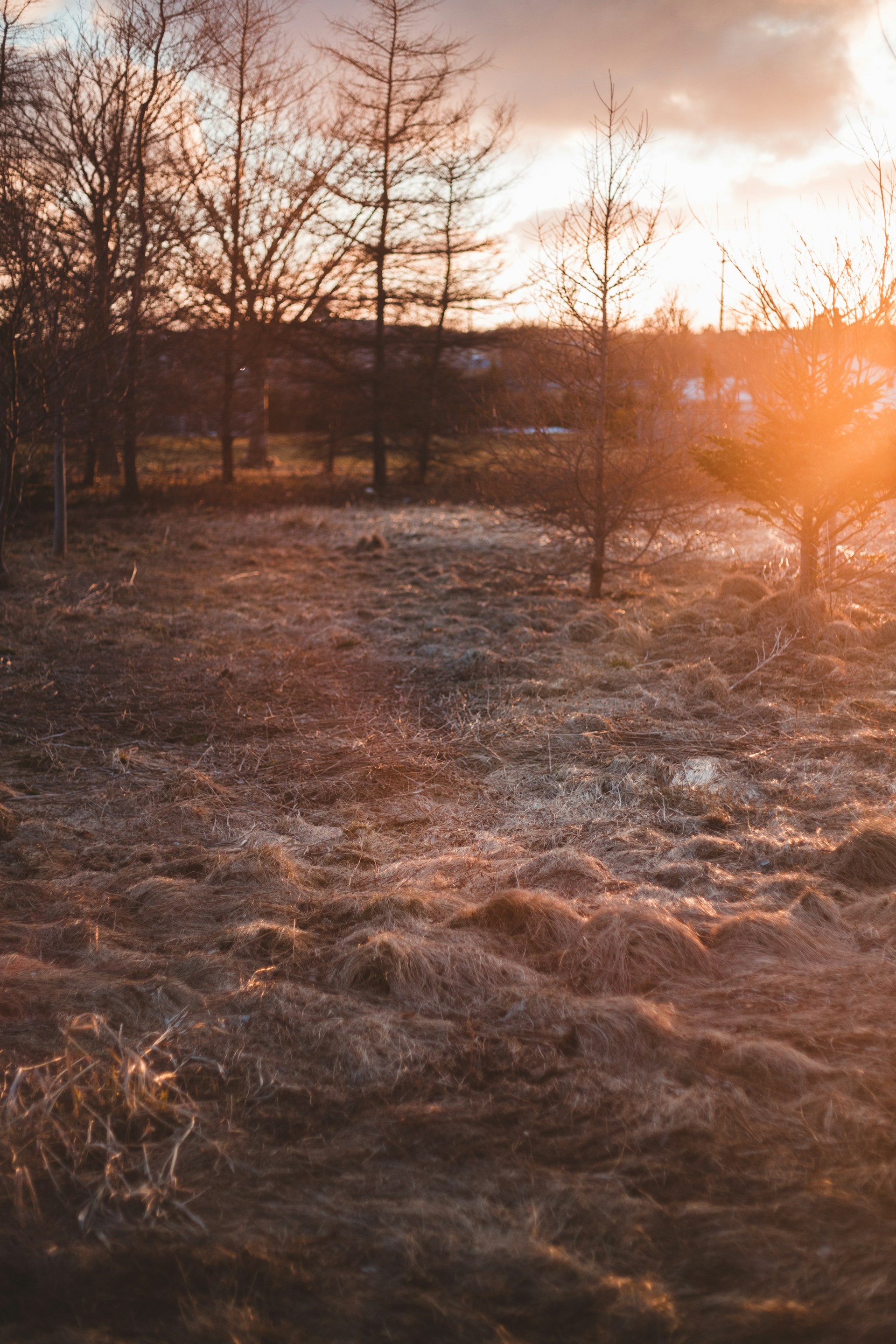 woman wearing yellow long-sleeved dress under white clouds and blue sky during daytime