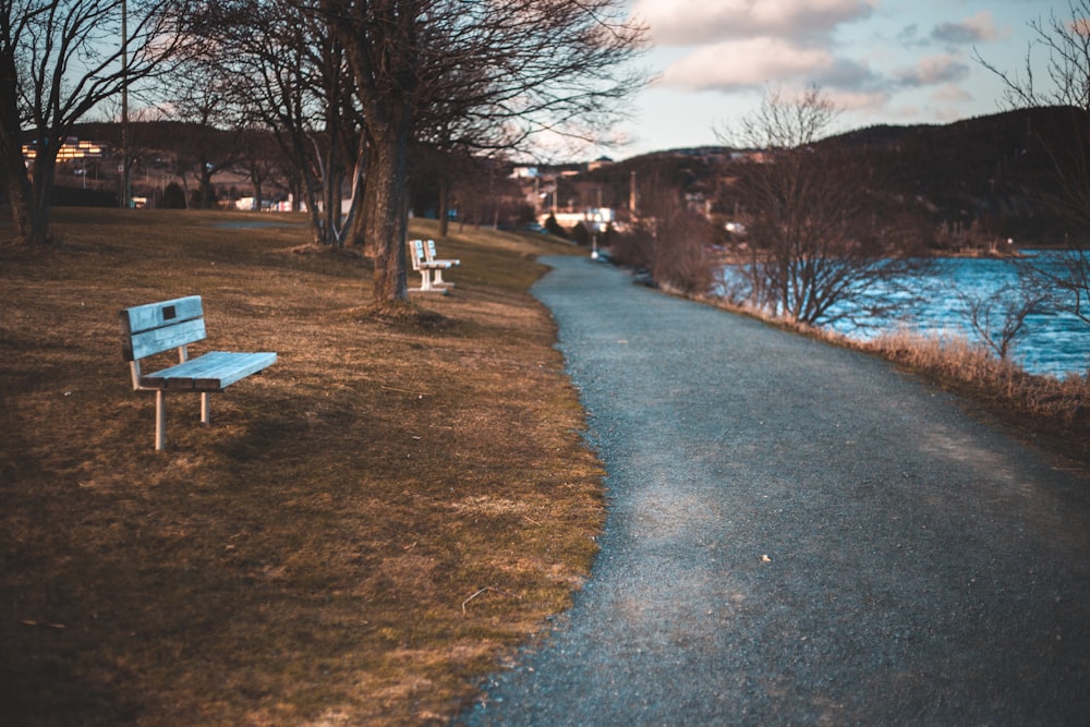 brown wooden bench on green grass field near bare trees during daytime