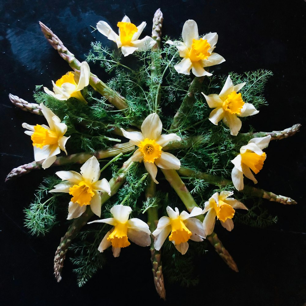 yellow and white flowers on black surface