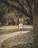 A calming image of a person jogging in a peaceful park surrounded by greenery.