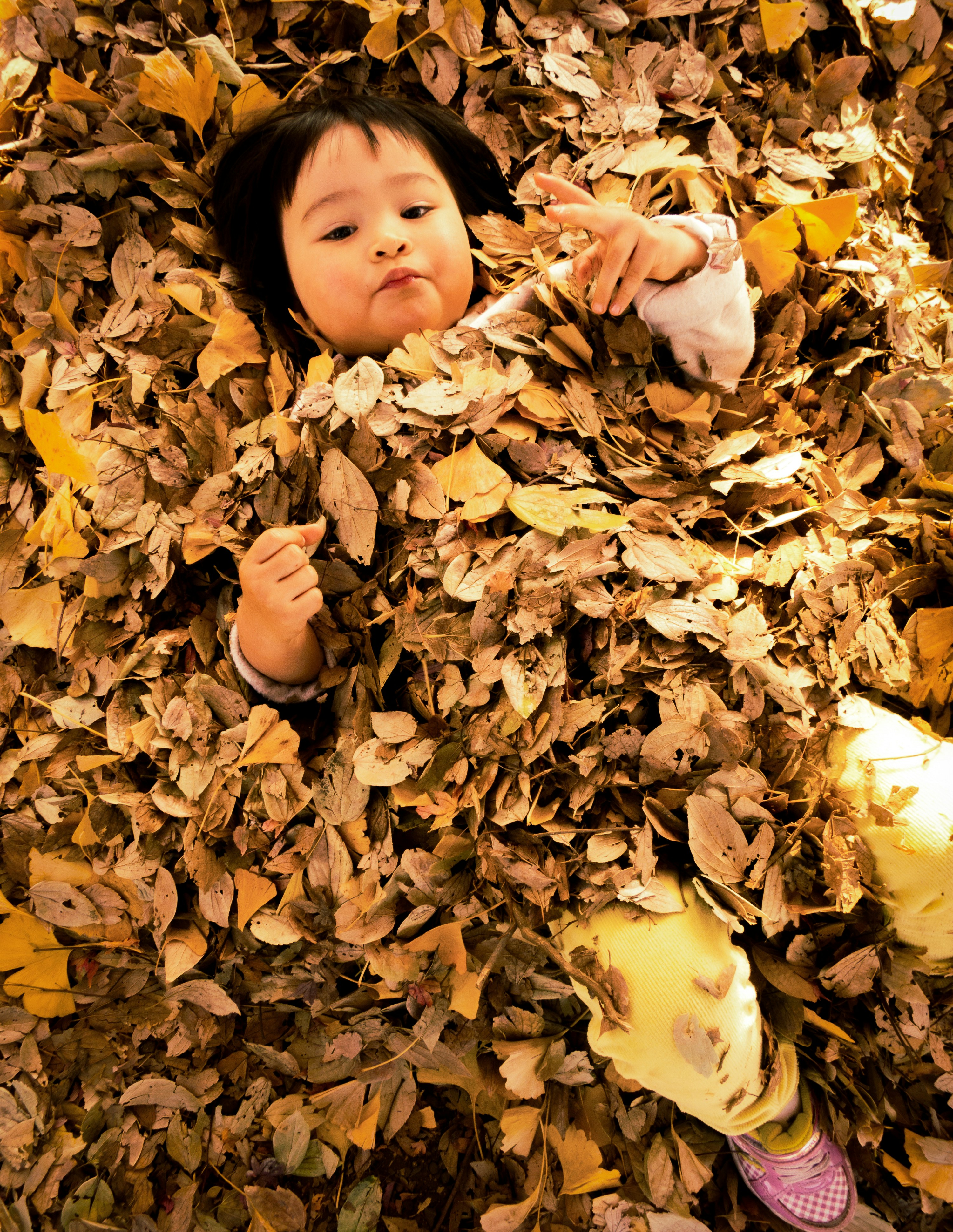 Photo by enkuu