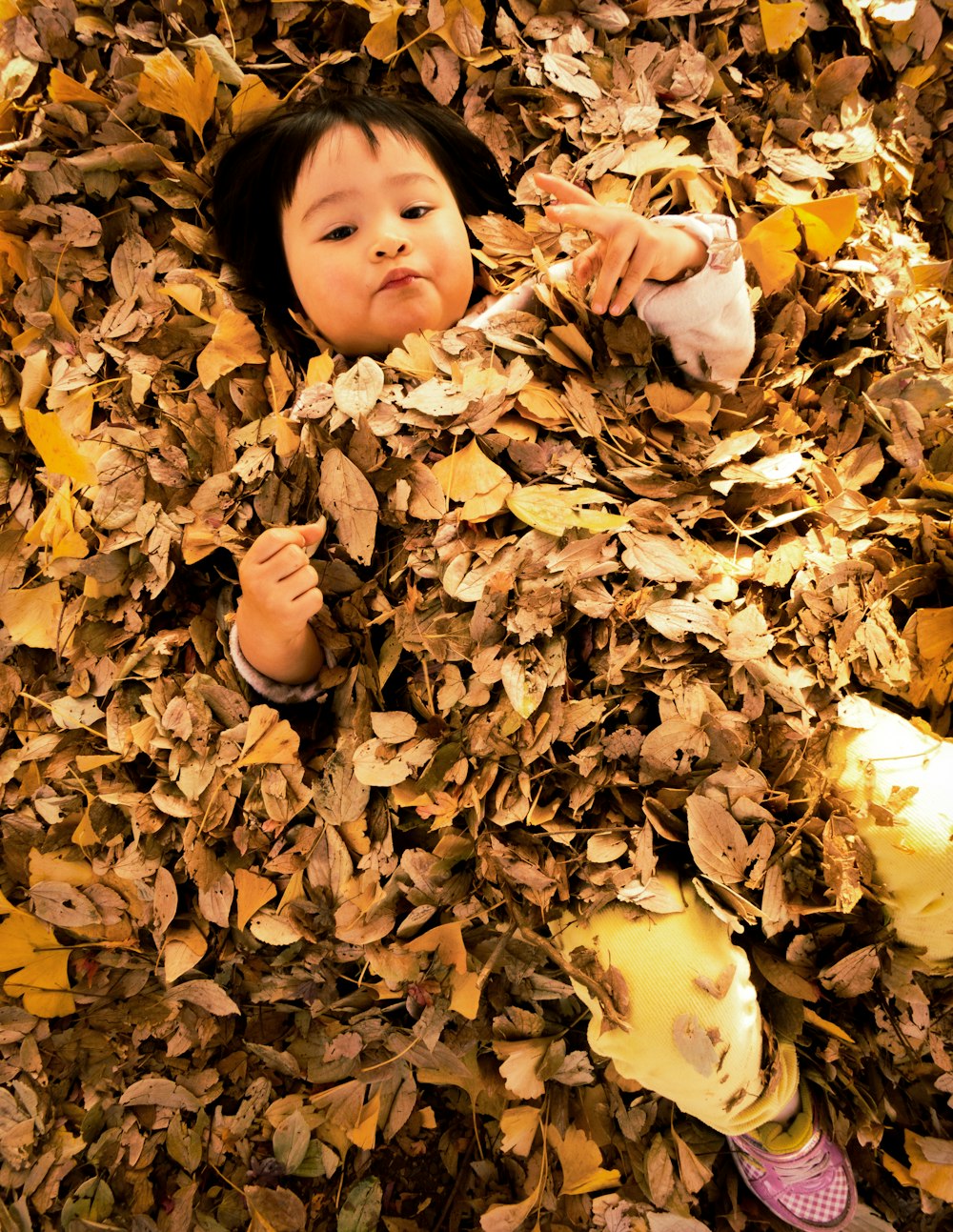 girl in brown and white long sleeve shirt lying on dried leaves