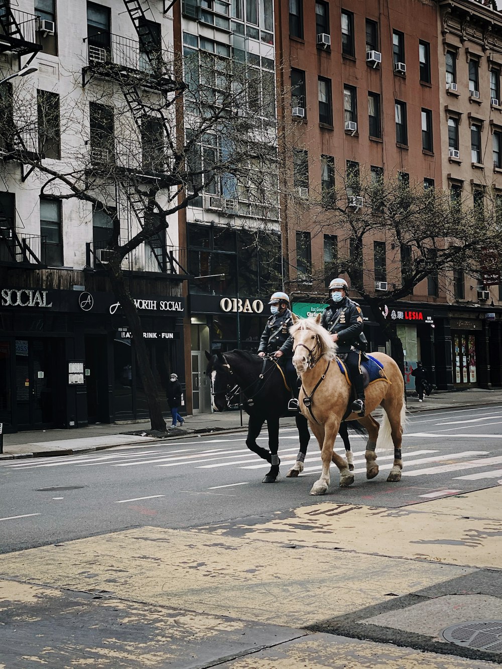 man riding horse on road during daytime