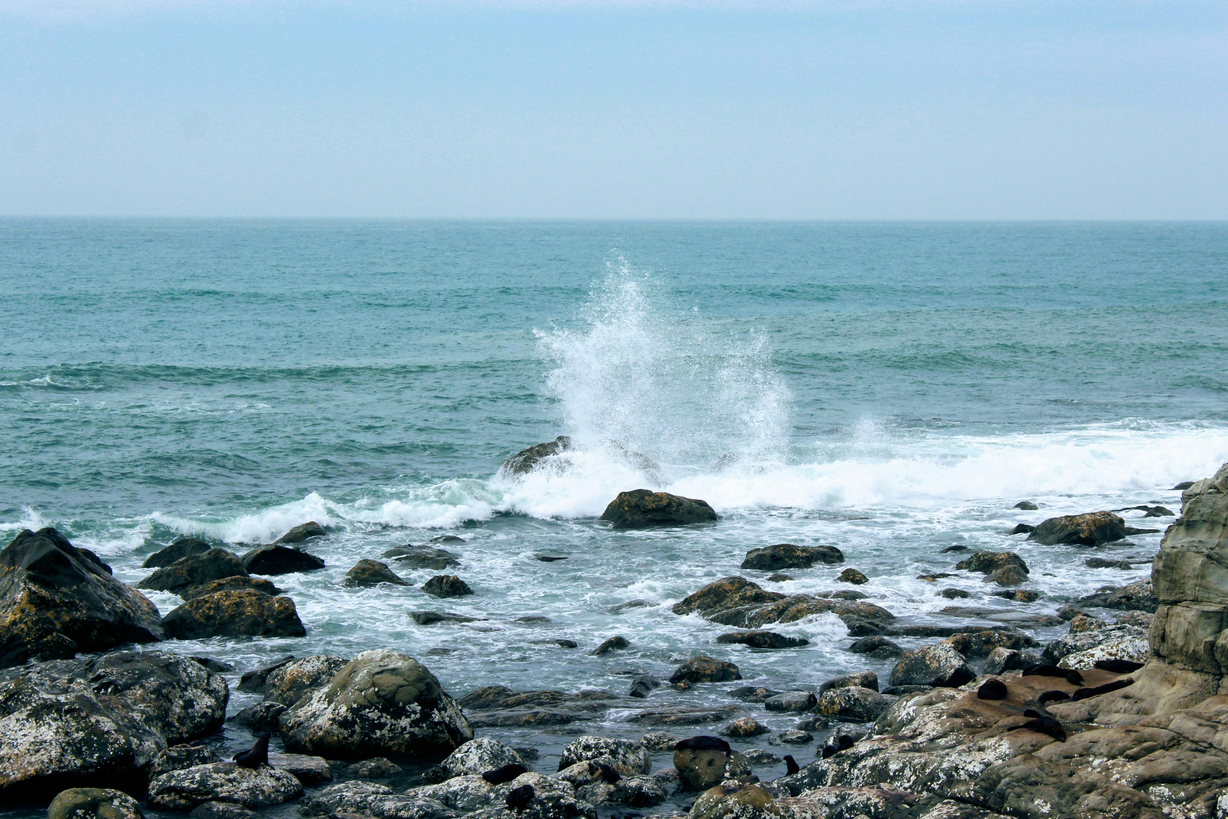 Photo by jg_creatives