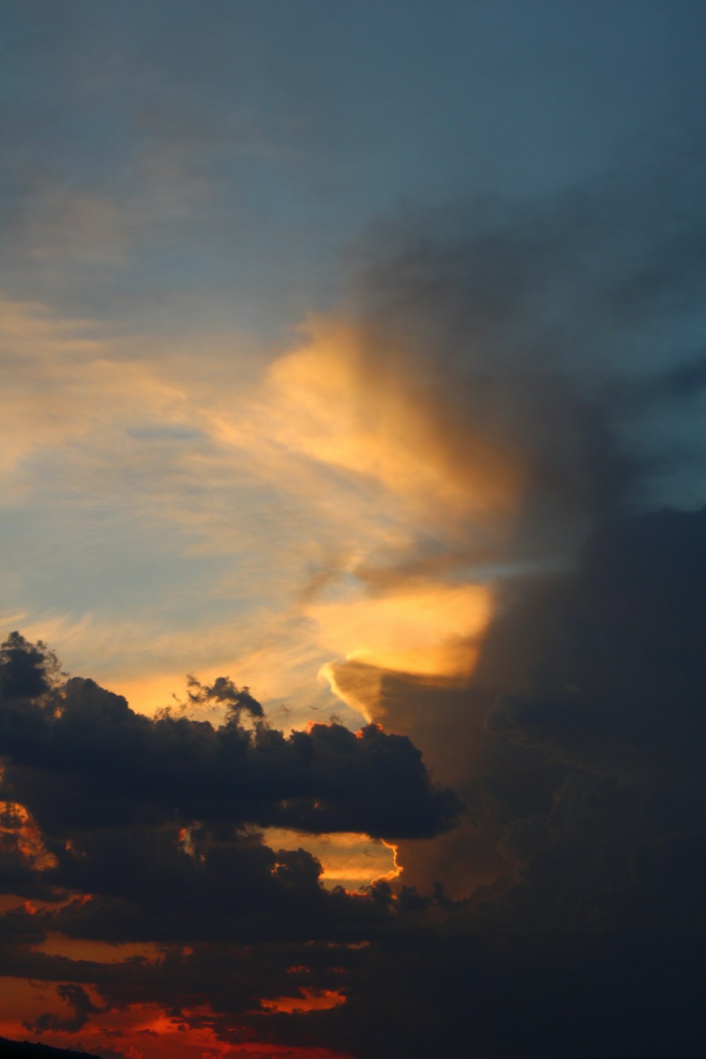 silhouette of trees under cloudy sky during sunset