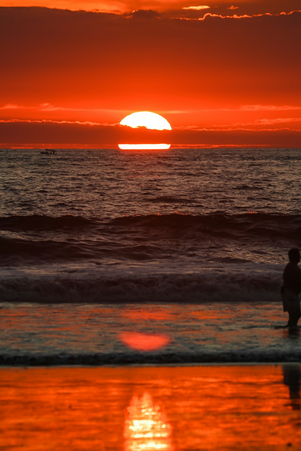 Silhouette eines Hundes, der während des Sonnenuntergangs am Meeresufer steht