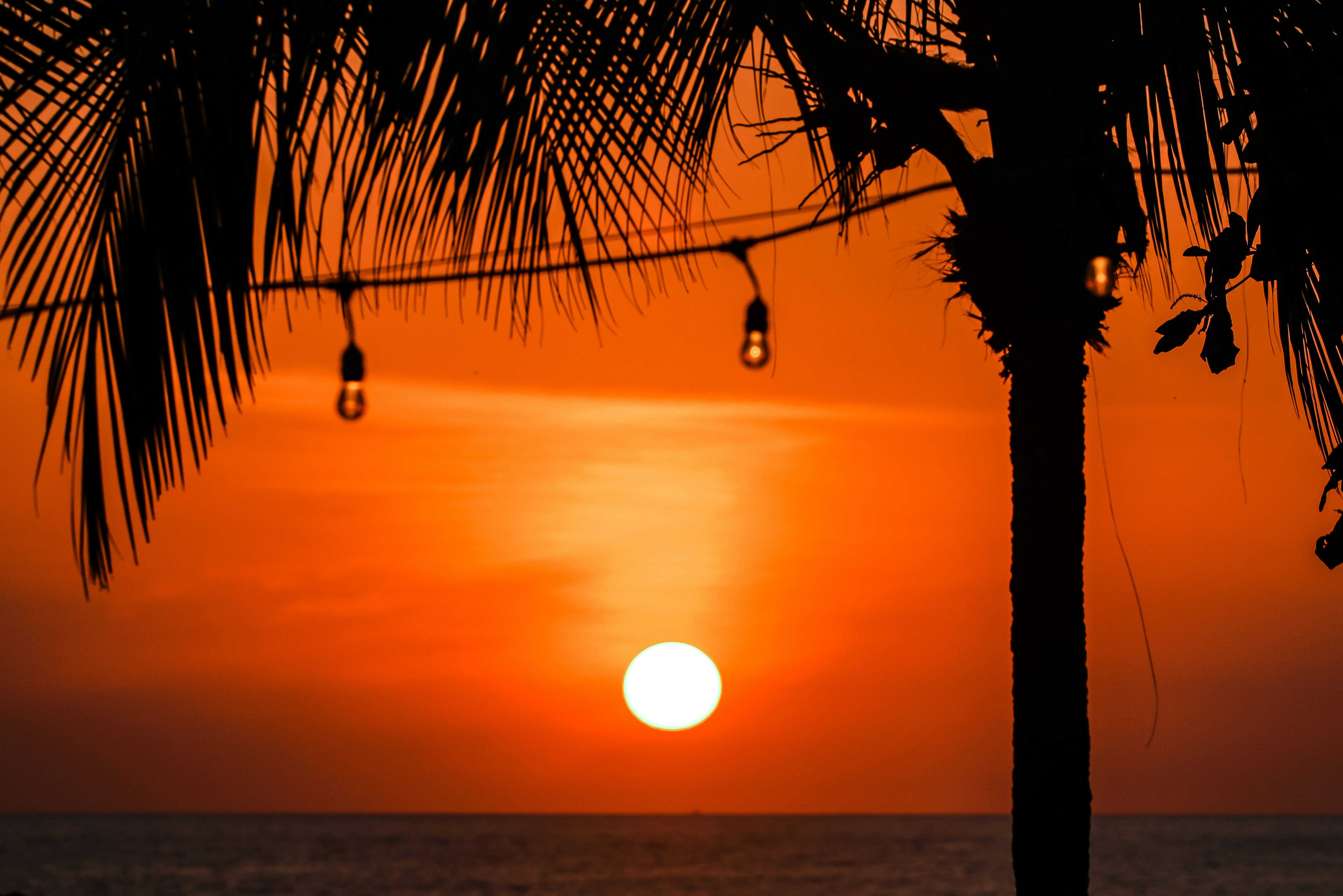 Définition de jaco Dictionnaire français