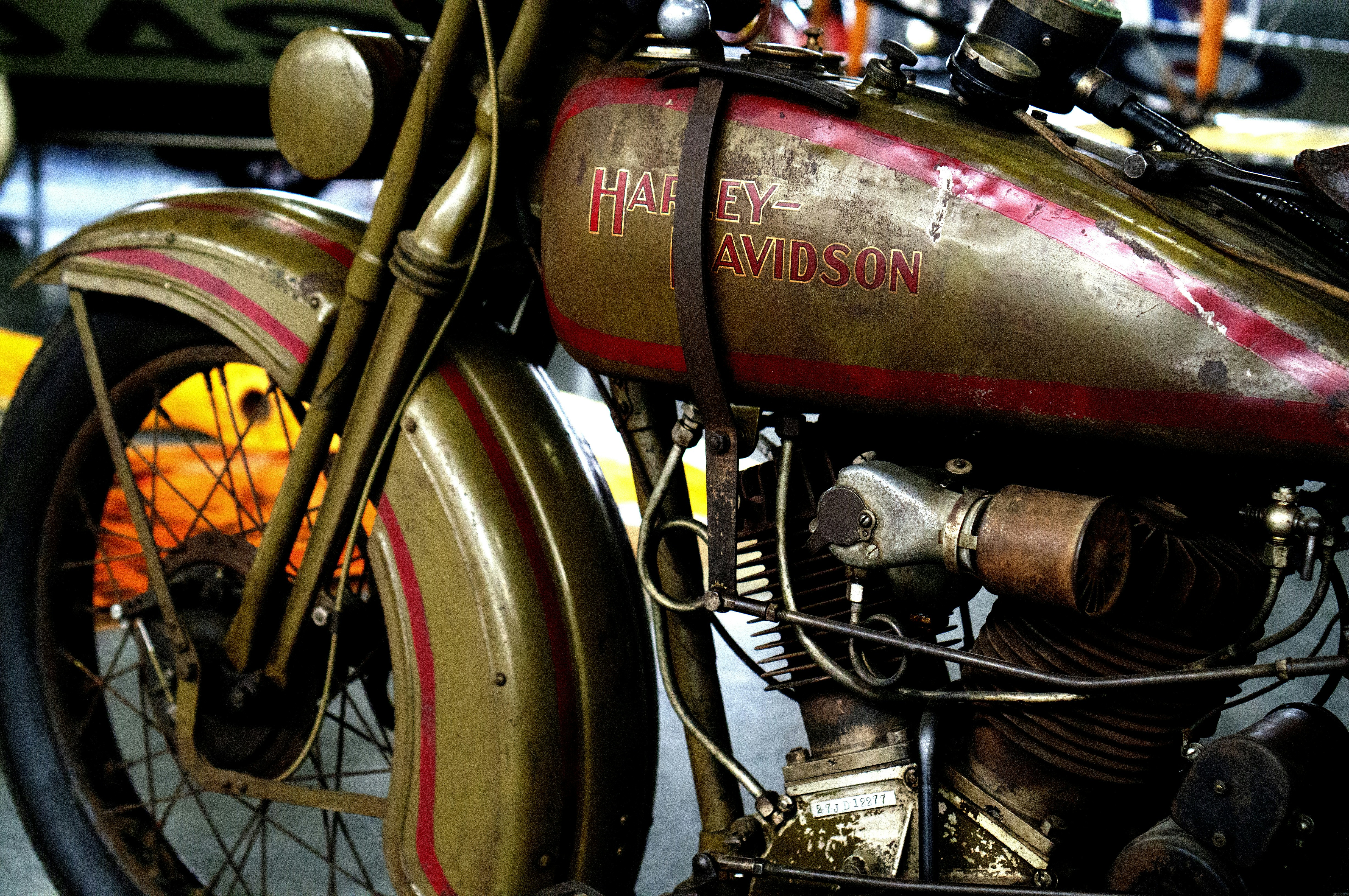 Photo by gerardoramirez