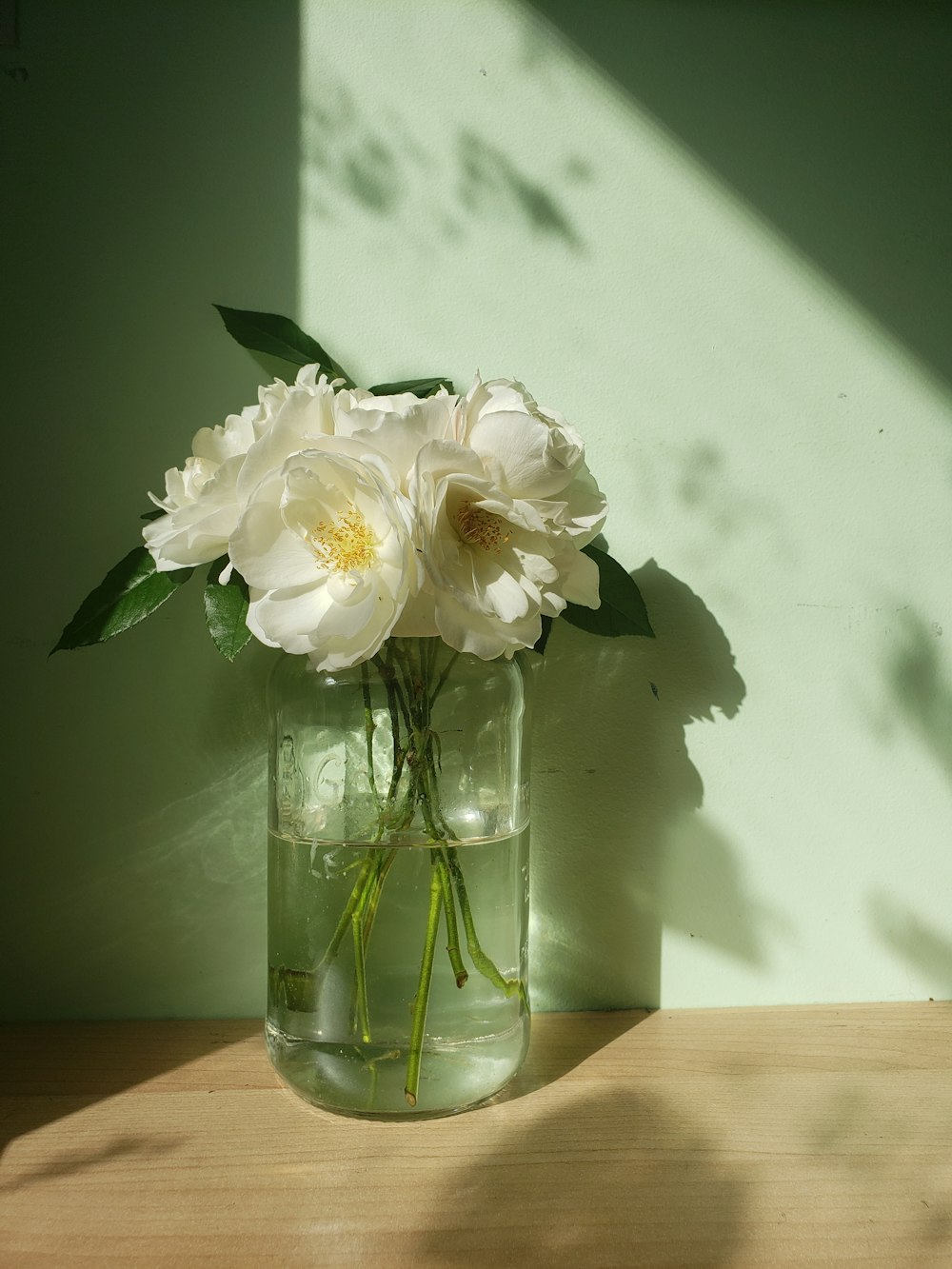 white flowers in clear glass vase