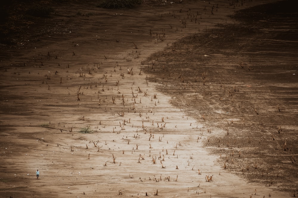 brown sand with water droplets