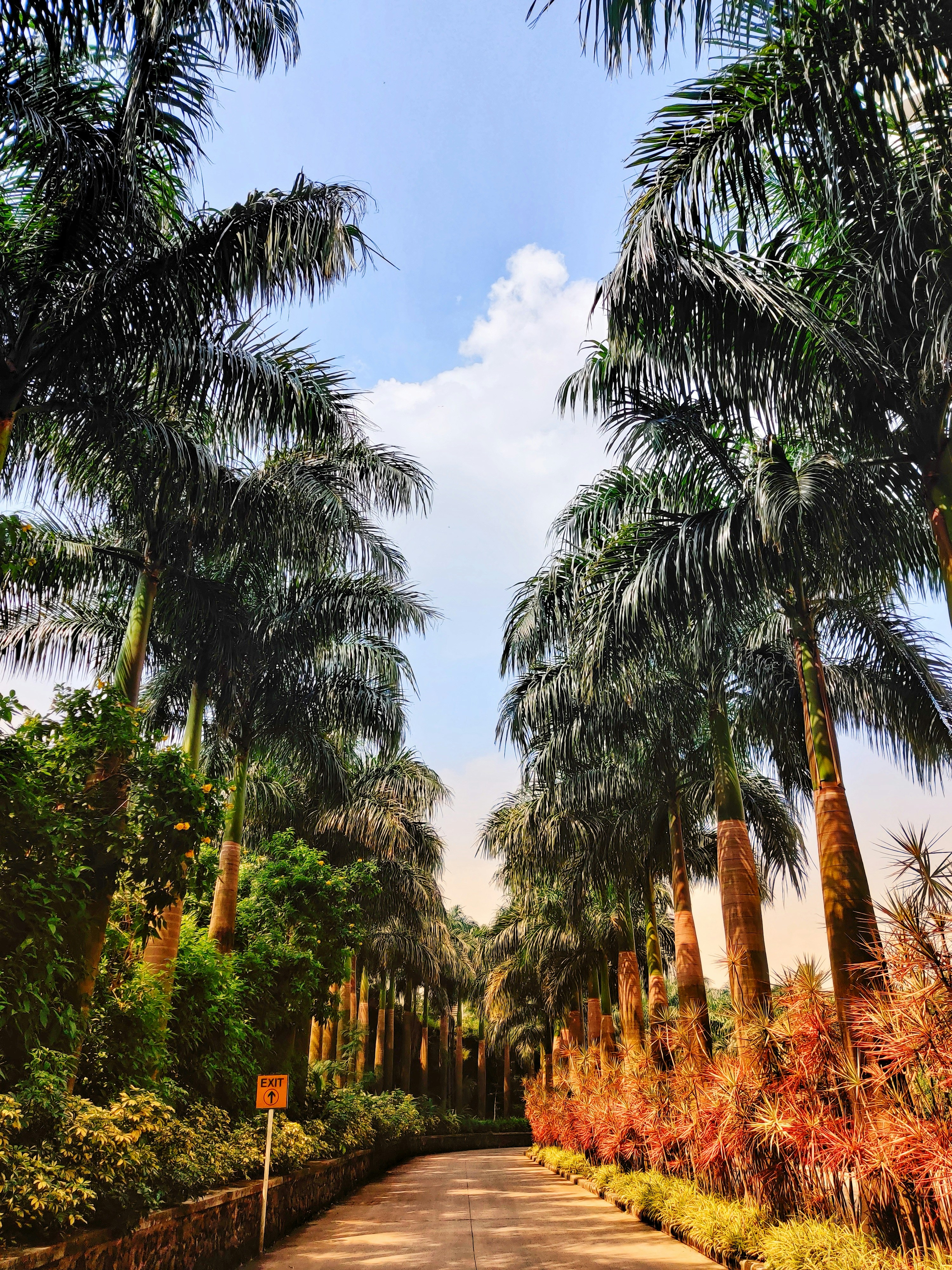 Photo by wild_nfree_