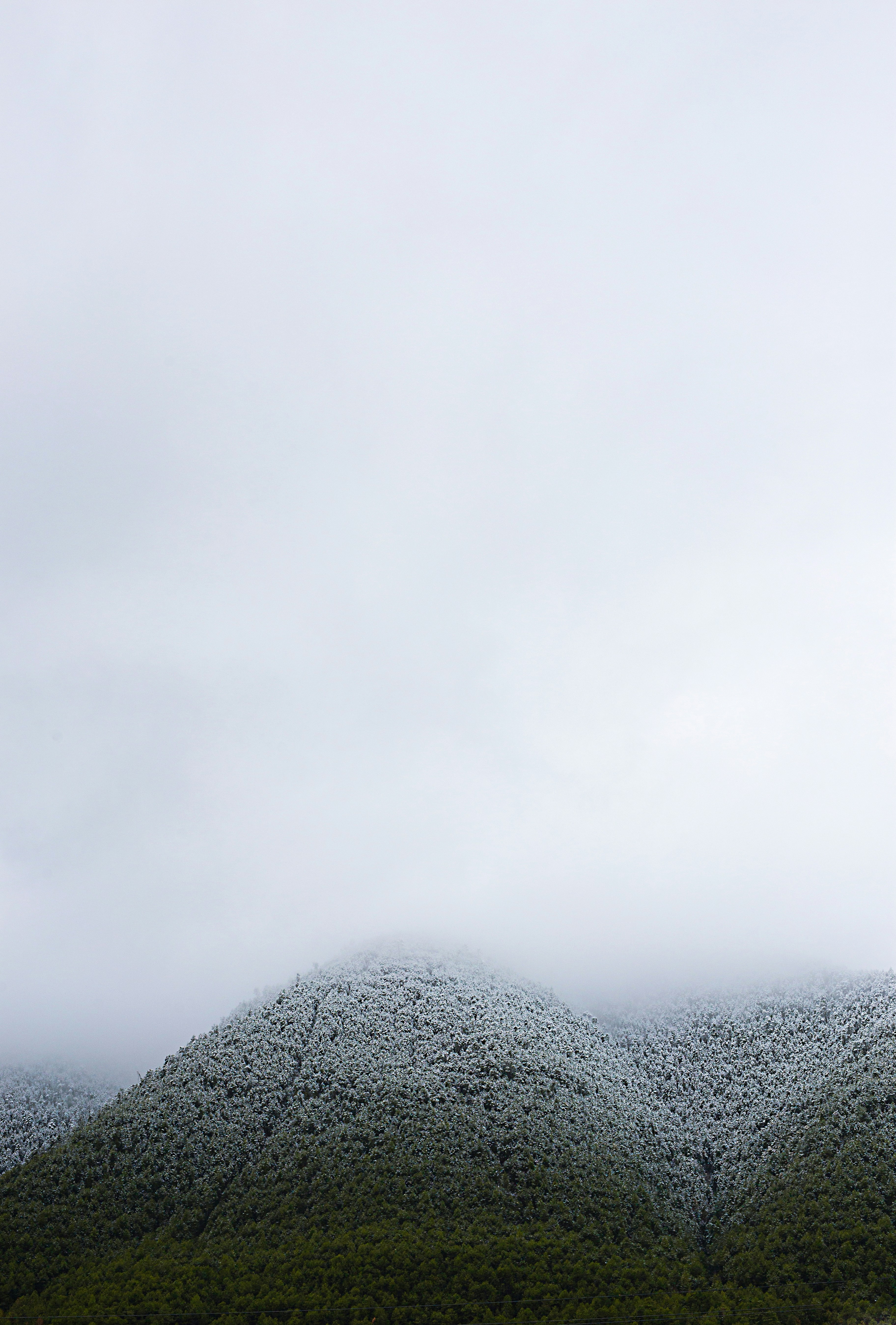 Photo by vinomamba24