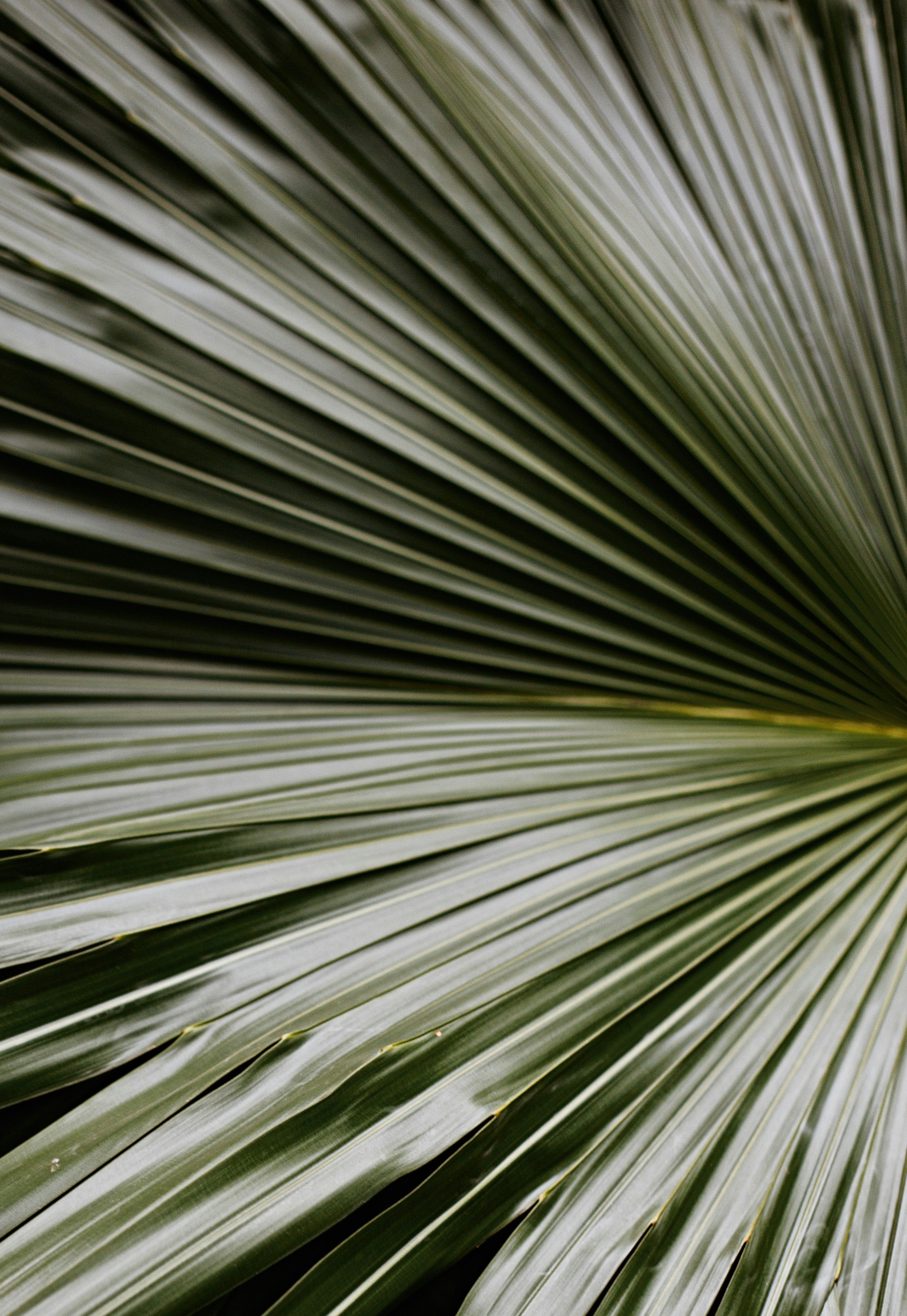 Photo by vinomamba24