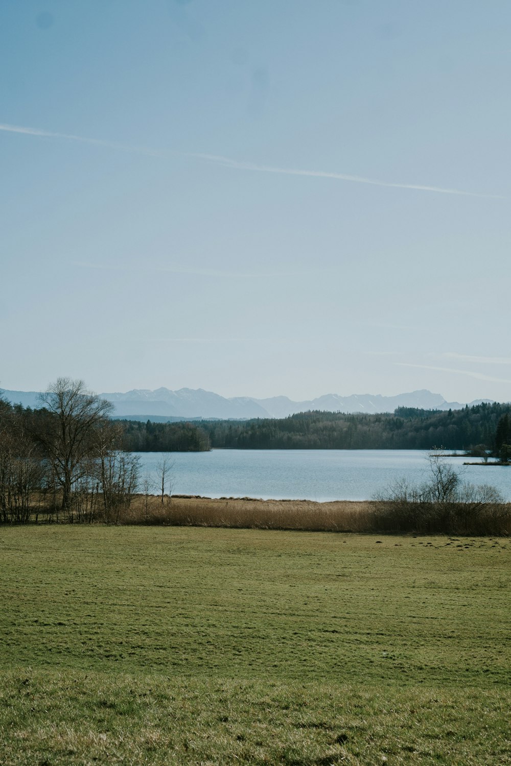 green grass field near body of water during daytime