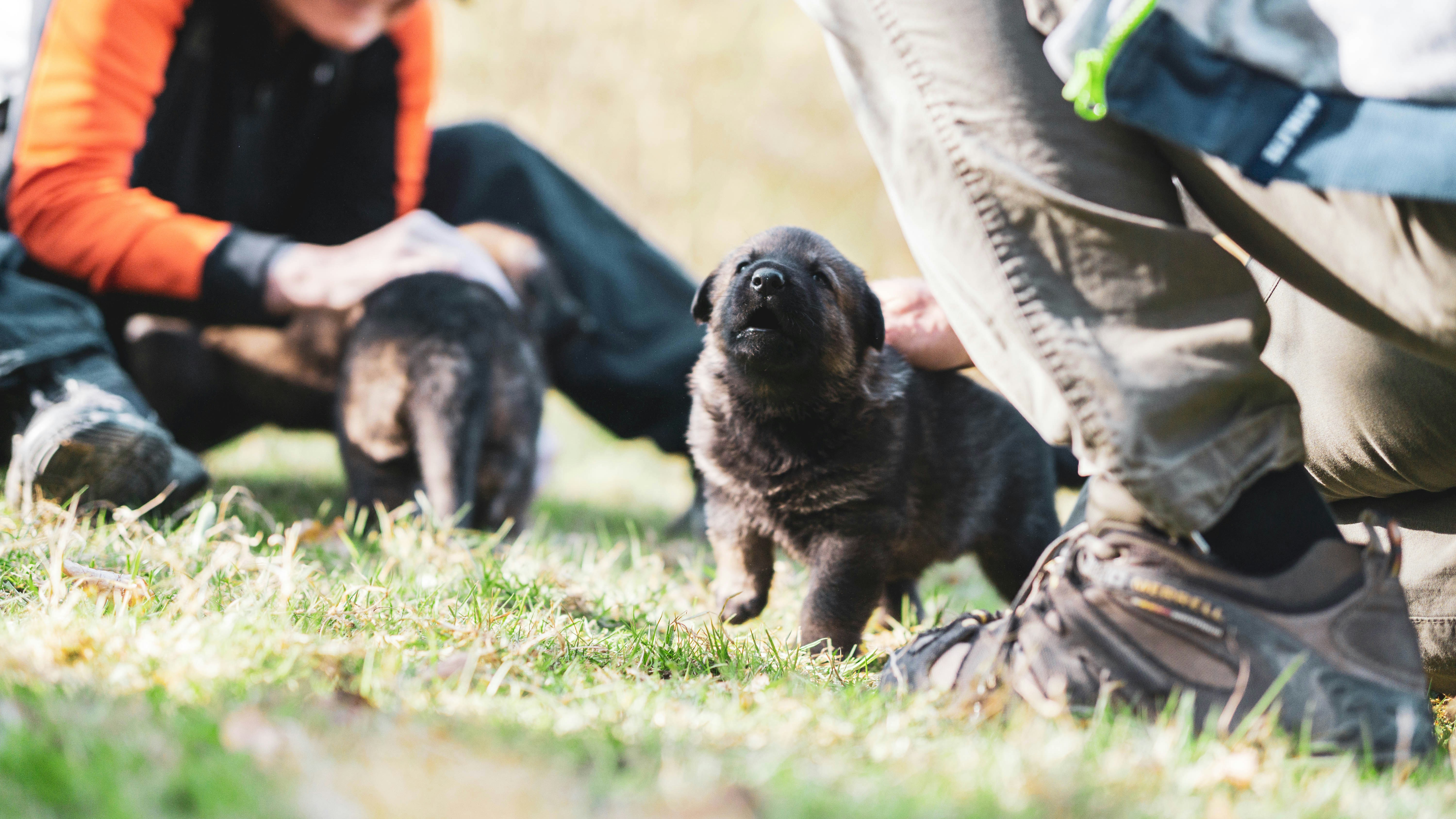 Photo by annadudkova