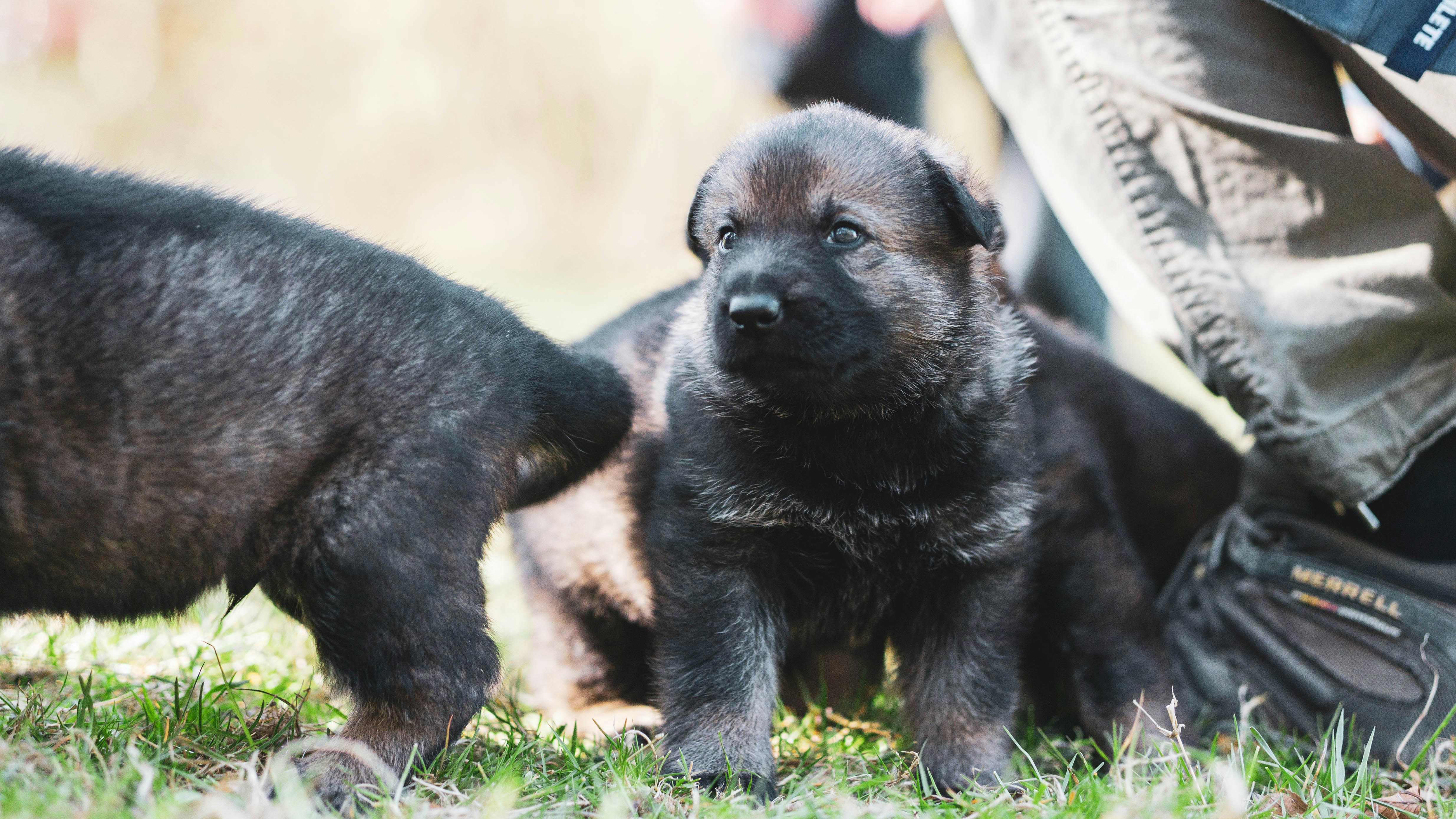 Photo by annadudkova