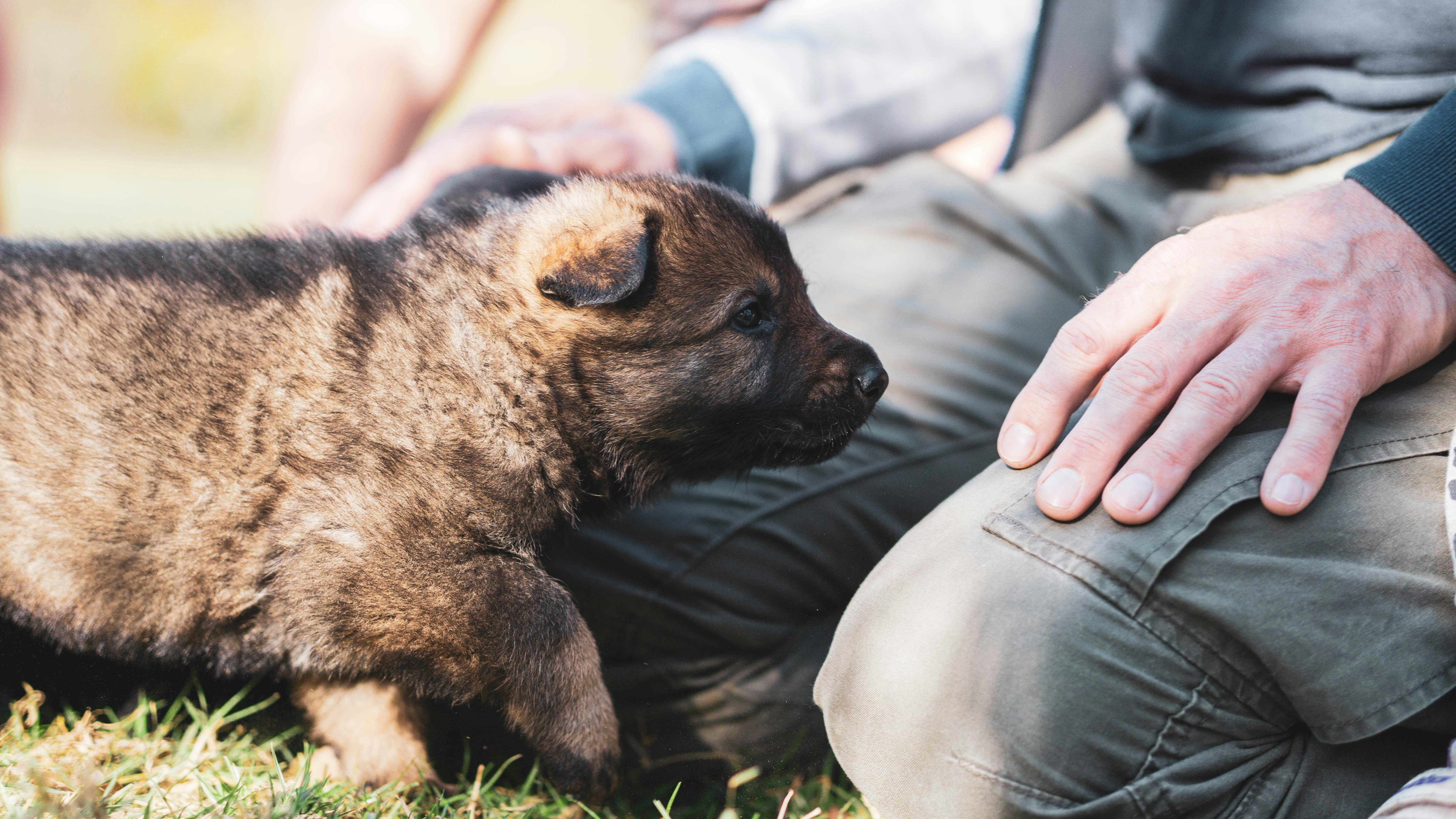 Photo by annadudkova