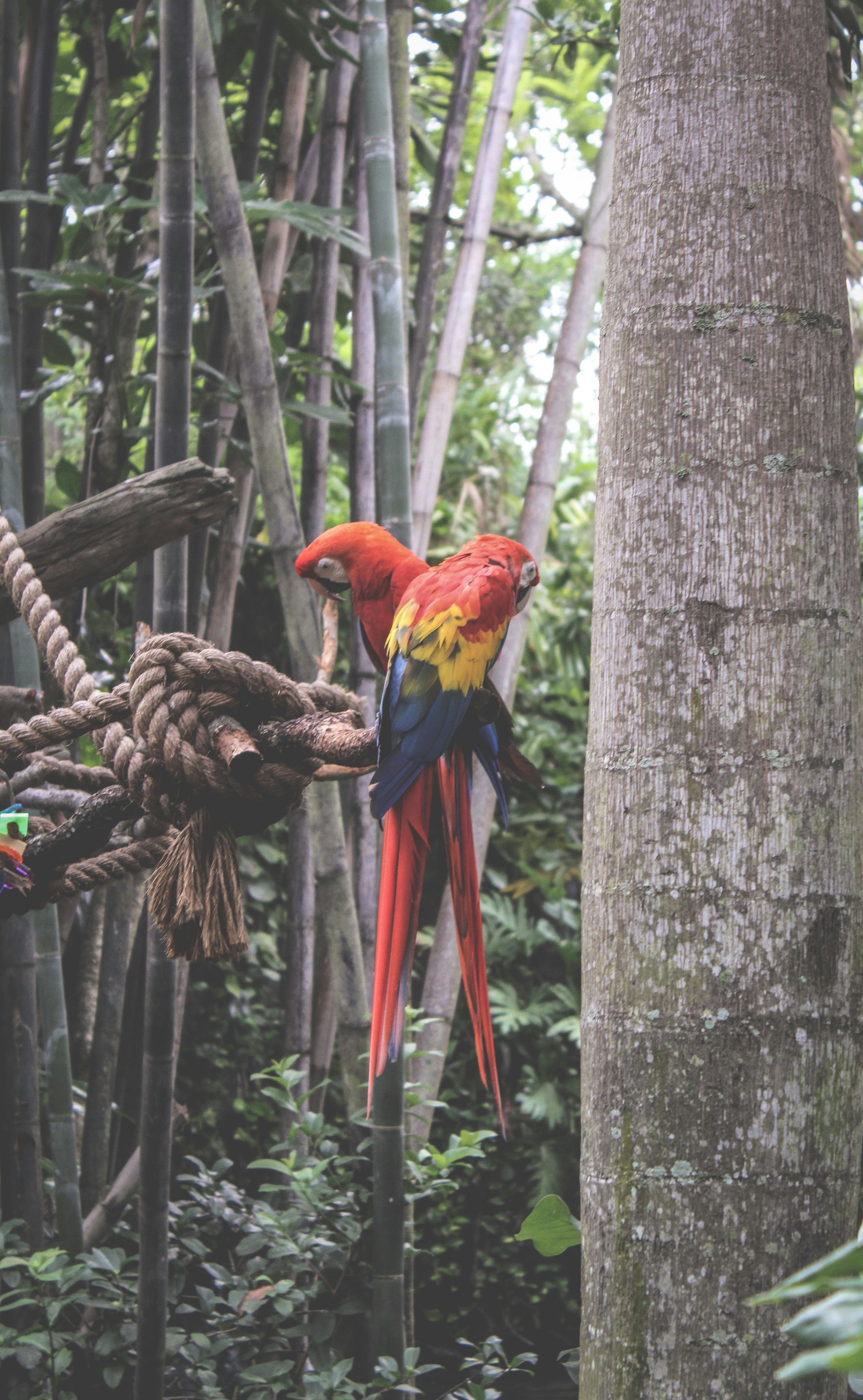 Photo by _andrearroyo_