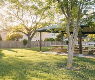 residential home backyard with fresh lawn services