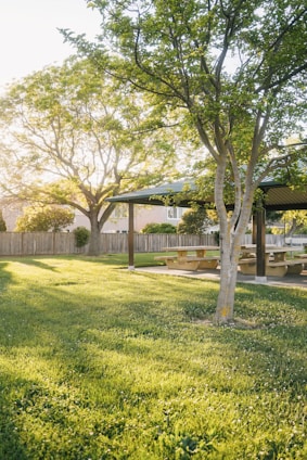 residential home backyard with fresh lawn services