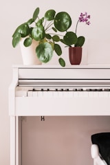 A modern white digital piano stands against a light-colored wall. On top of the piano are two potted plants: one with large round green leaves and the other with purple flowers. The scene is simple and elegant, with a touch of nature.