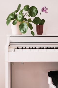 A modern white digital piano stands against a light-colored wall. On top of the piano are two potted plants: one with large round green leaves and the other with purple flowers. The scene is simple and elegant, with a touch of nature.