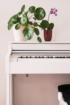 A modern white digital piano stands against a light-colored wall. On top of the piano are two potted plants: one with large round green leaves and the other with purple flowers. The scene is simple and elegant, with a touch of nature.