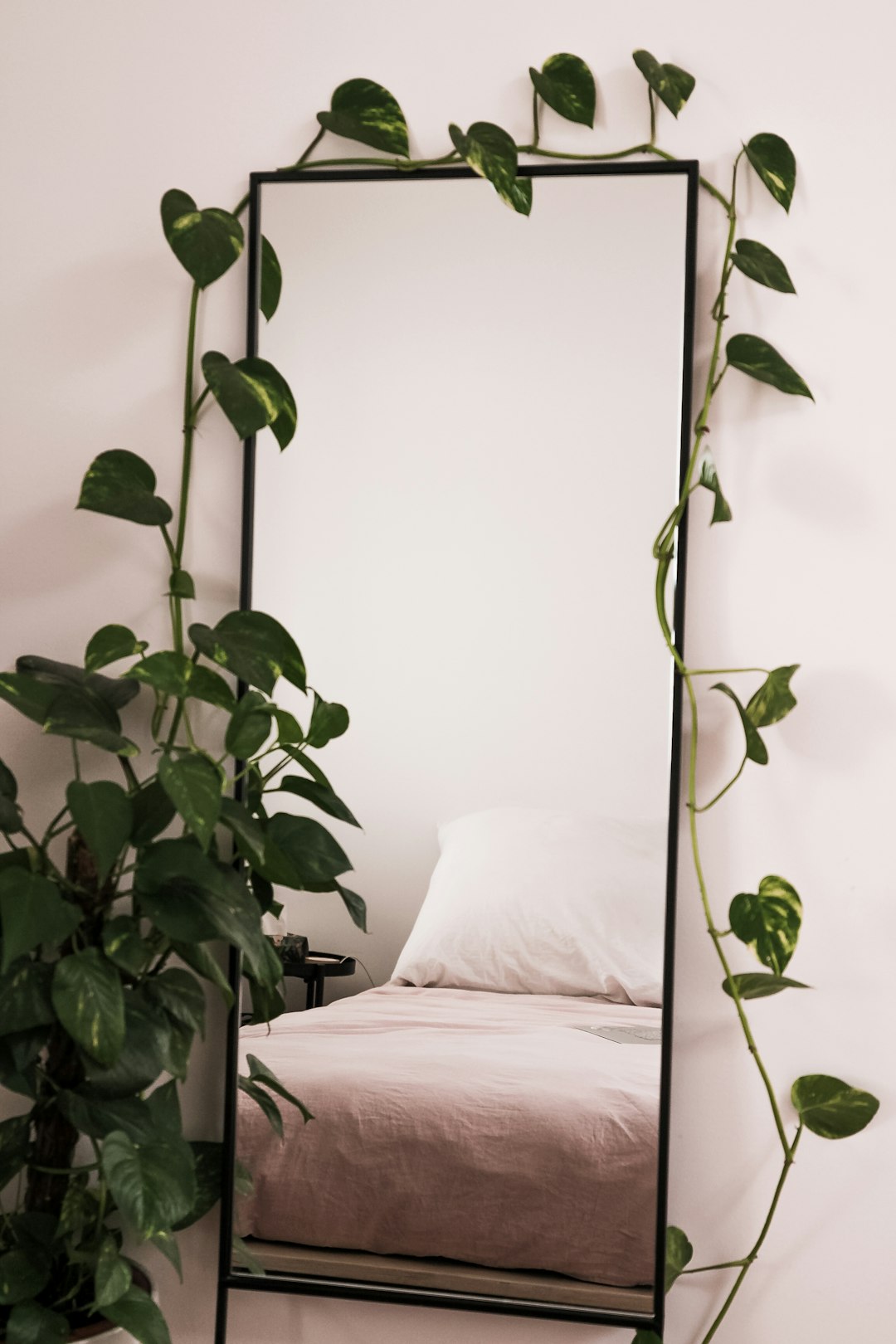 Floor mirror with trailing ivy beside a bed with pink bedding
