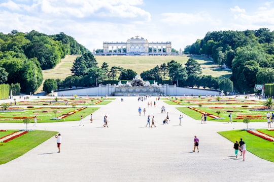 people on park during daytime in Schönbrunn Garden Austria