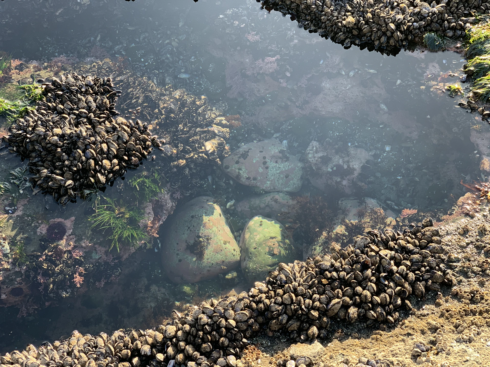 gray computer monitor