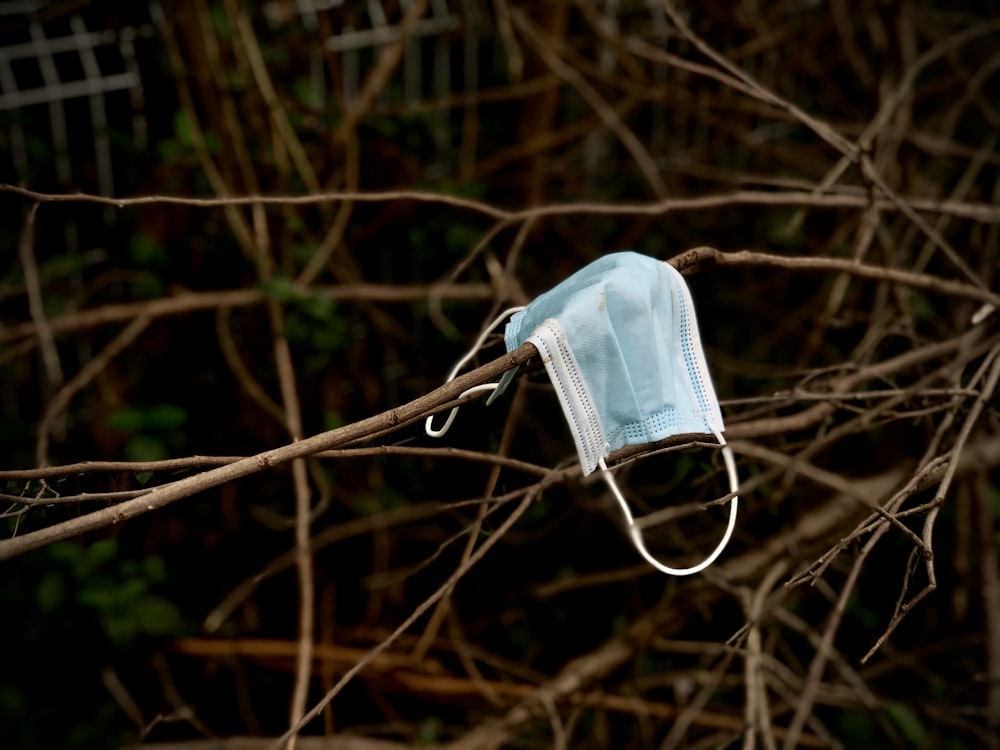 a face mask hanging from a tree branch