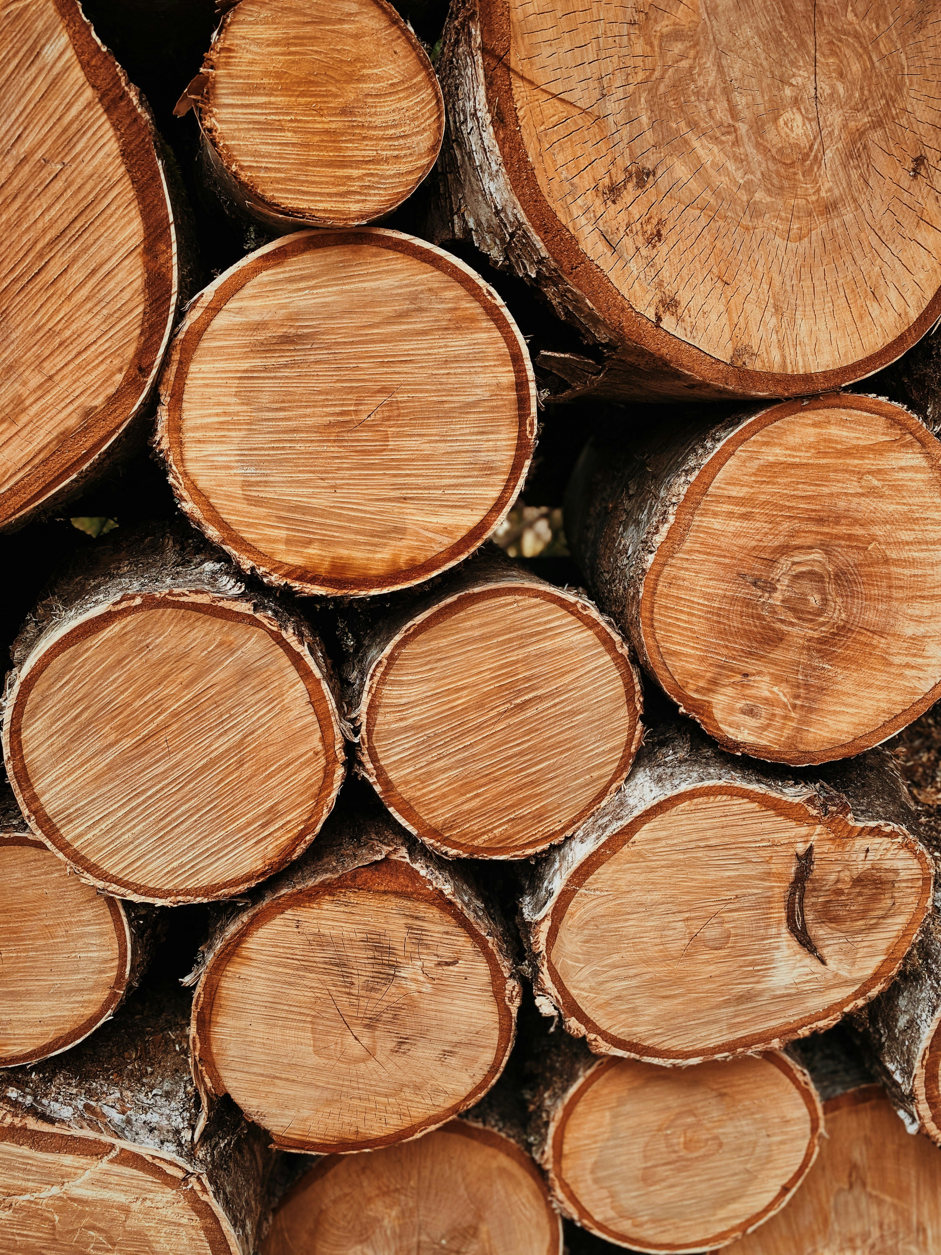 brown and black wooden logs