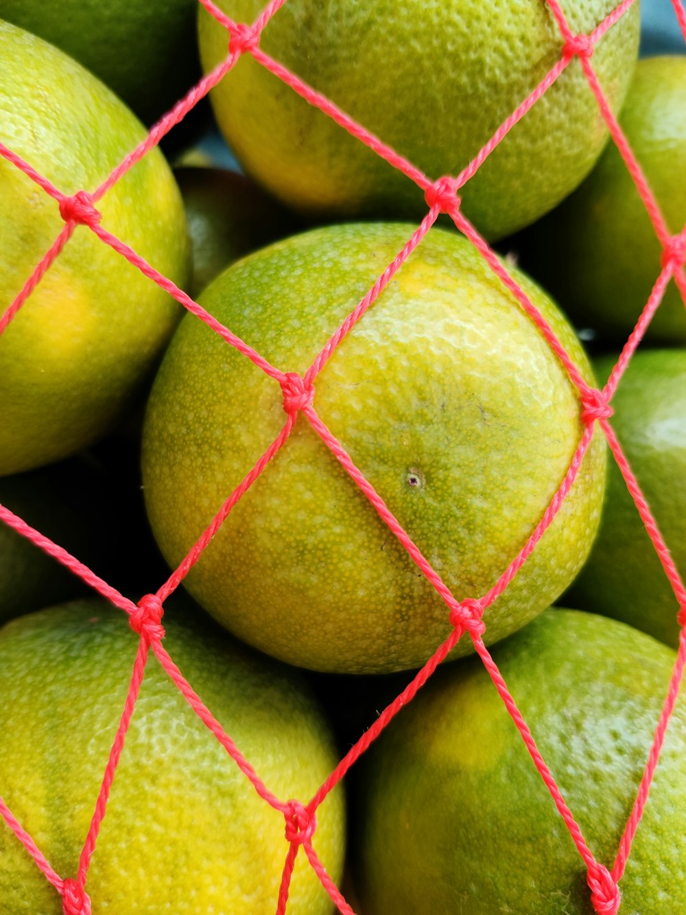 green and yellow round fruits