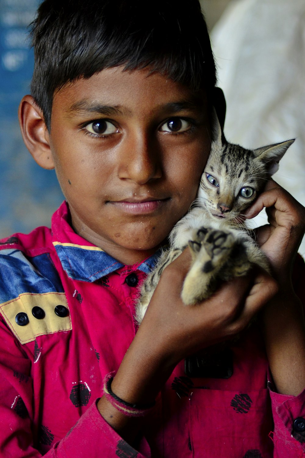 boy in red and blue stripe polo shirt holding brown tabby cat