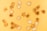 A collection of small, biscuit-like snacks shaped like various animals, scattered across a yellow surface. The snacks have a light brown and golden color, some darker than others, suggesting varying levels of baking.