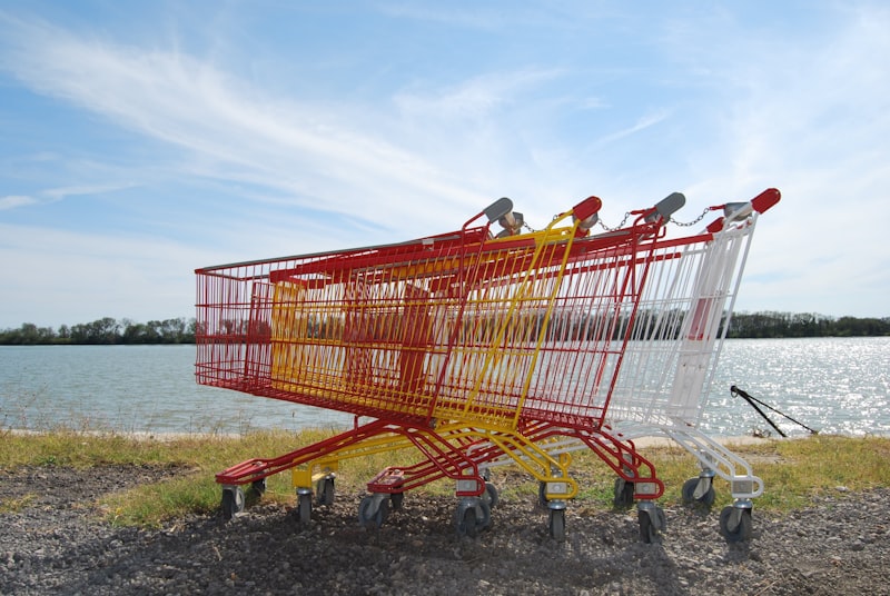 shopping carts on shore during daytime