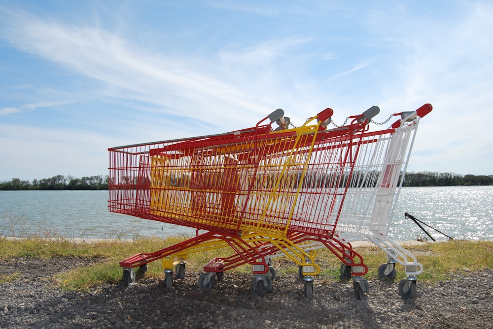 shopping carts on shore during daytime