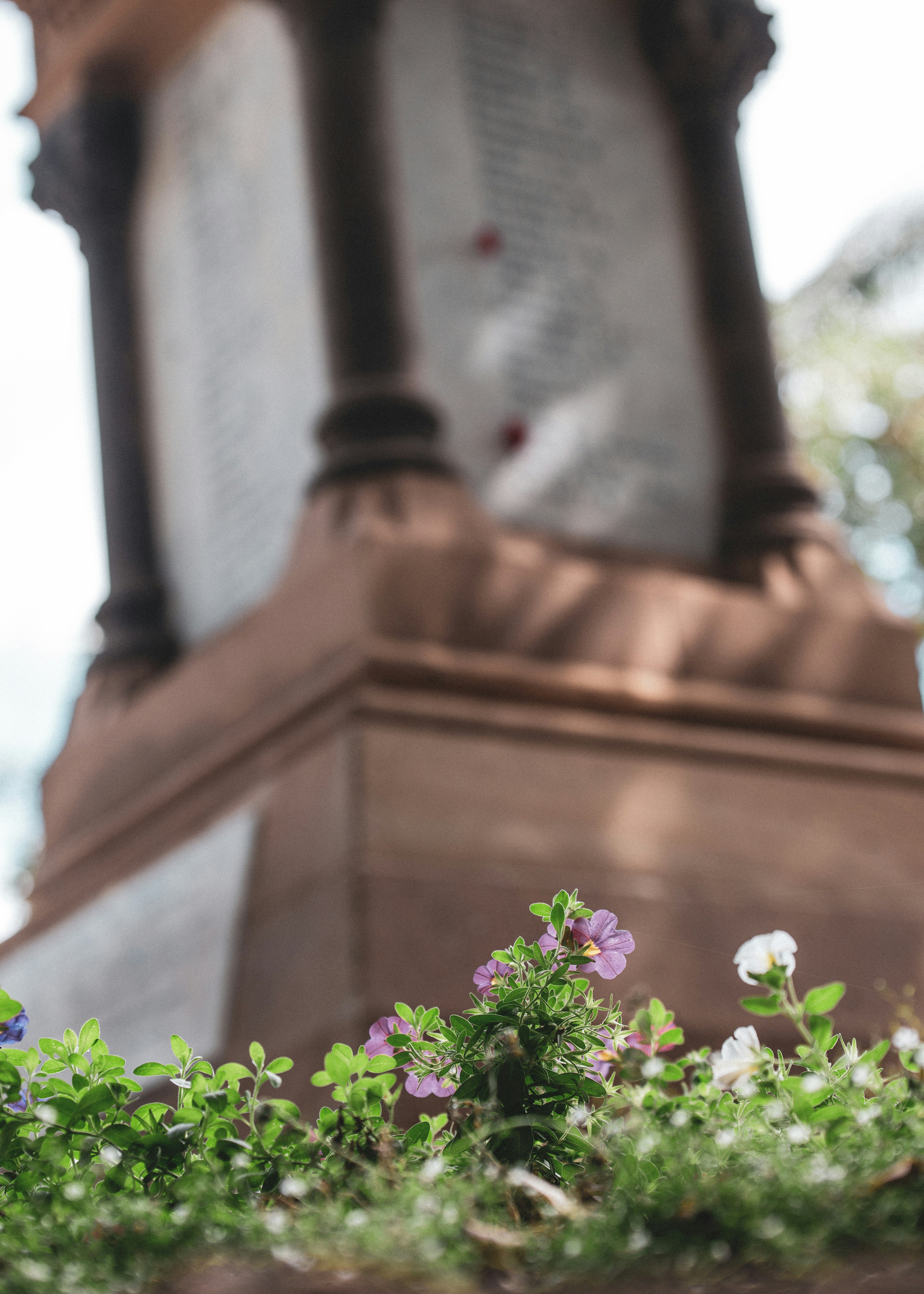 茶色のコンクリートの建物に紫色の花