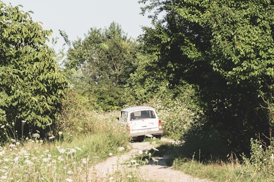 white van on dirt road near green trees during daytime in Bucharest Romania