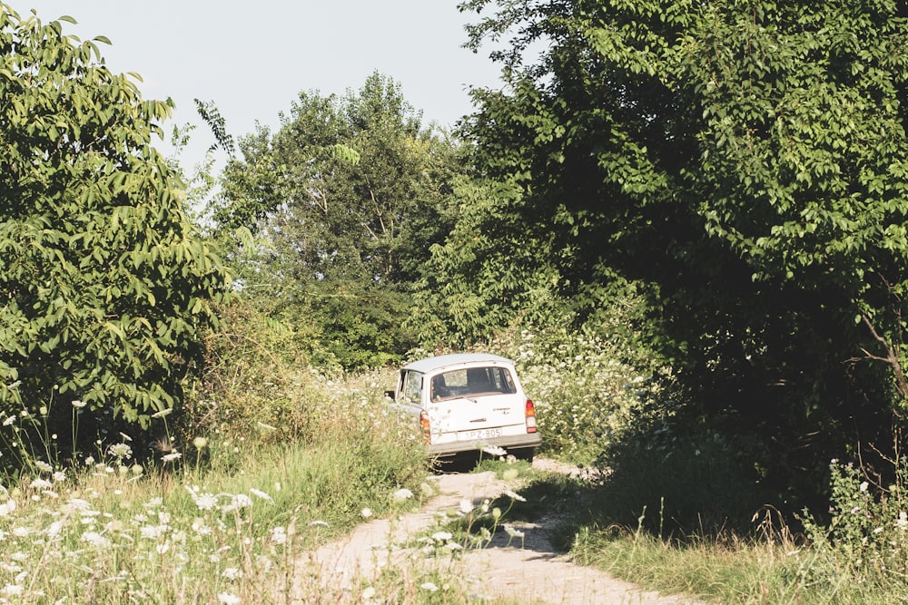 white van on dirt road near green trees during daytime