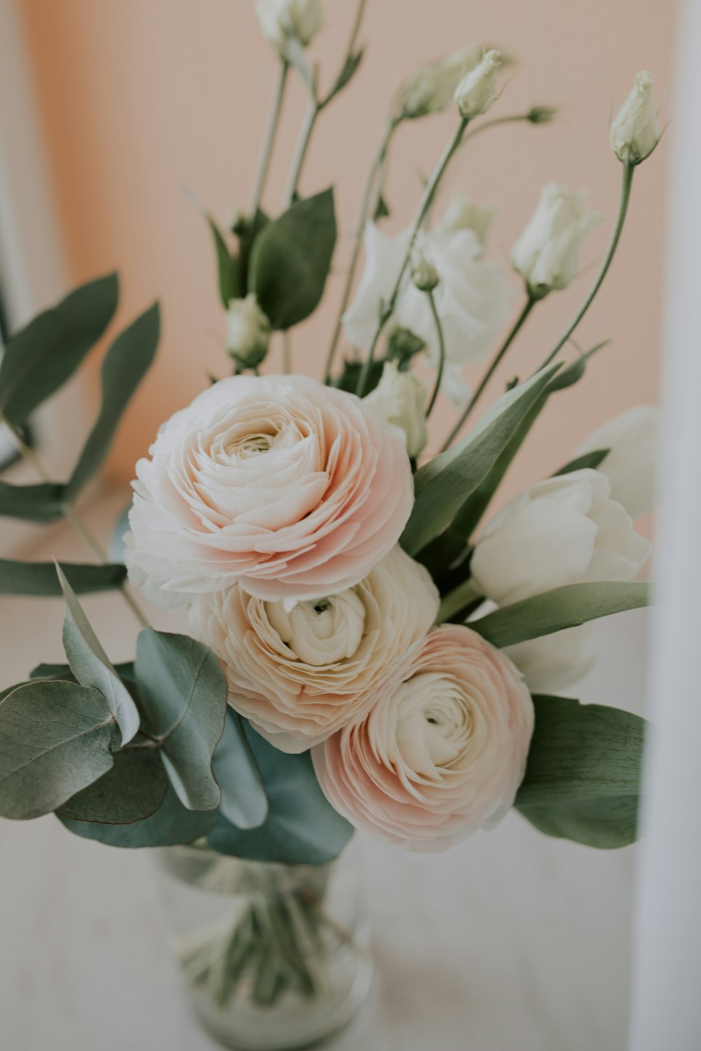 white rose in close up photography